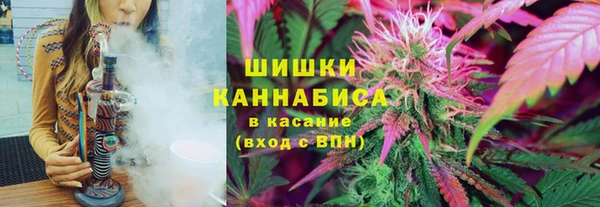 ПСИЛОЦИБИНОВЫЕ ГРИБЫ Алзамай