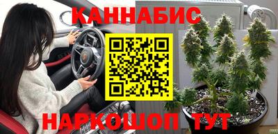 гашик Кулебаки