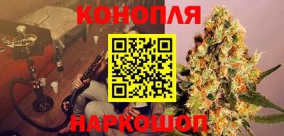 гашик Кулебаки
