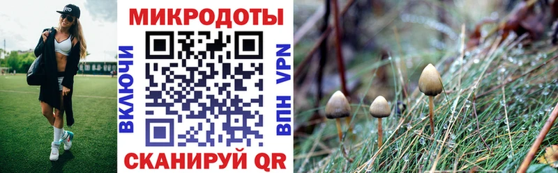 купить закладку  Солнечногорск  Галлюциногенные грибы Psilocybe 