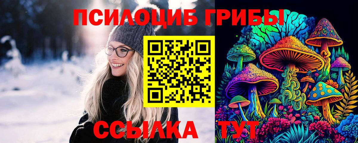 Псилоцибиновые грибы GOLDEN TEACHER Солнечногорск