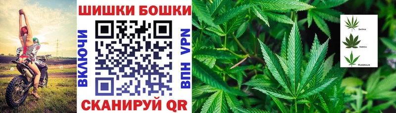 как найти   Солнечногорск  МАРИХУАНА конопля 
